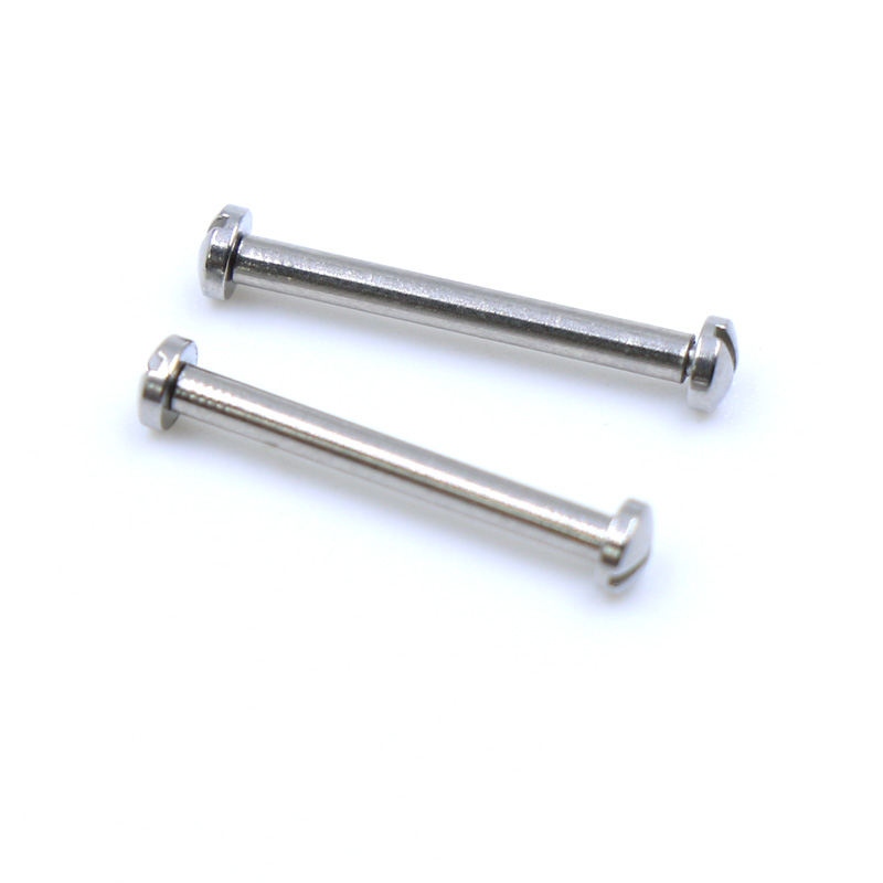 2 Pezzi Asta a Vite per Cintur - Replacement Watch Bracelet recensione e prezzo