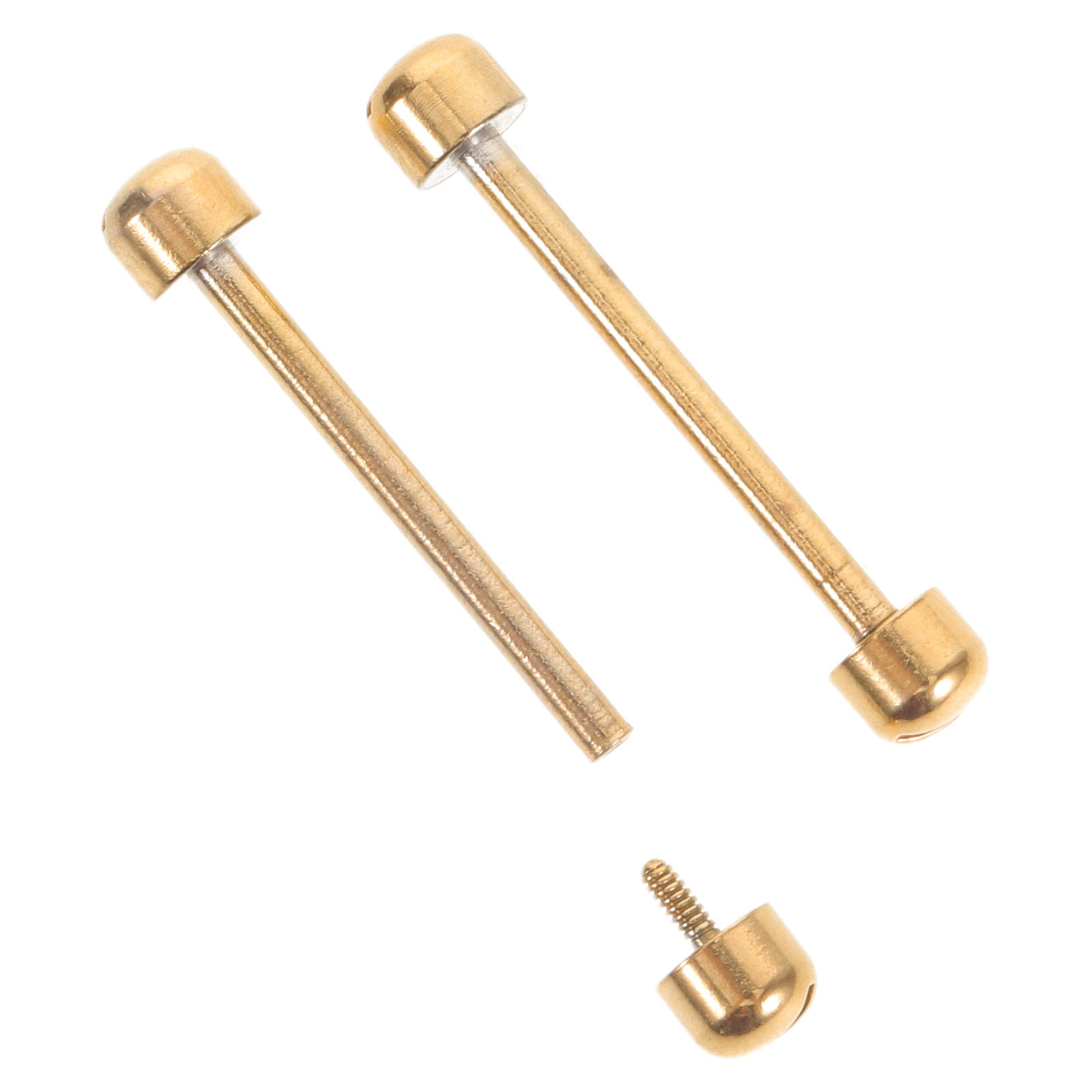 2 Pezzi Perni a Vite per Cintu - Replacement Watch Bracelet recensione e prezzo